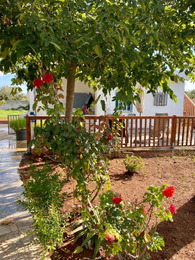 Casa Dominaty Bed & Breakfast Calig Exterior photo